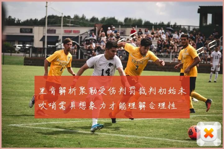 里肯解析聚勒受伤判罚裁判初始未吹哨需具想象力才能理解合理性